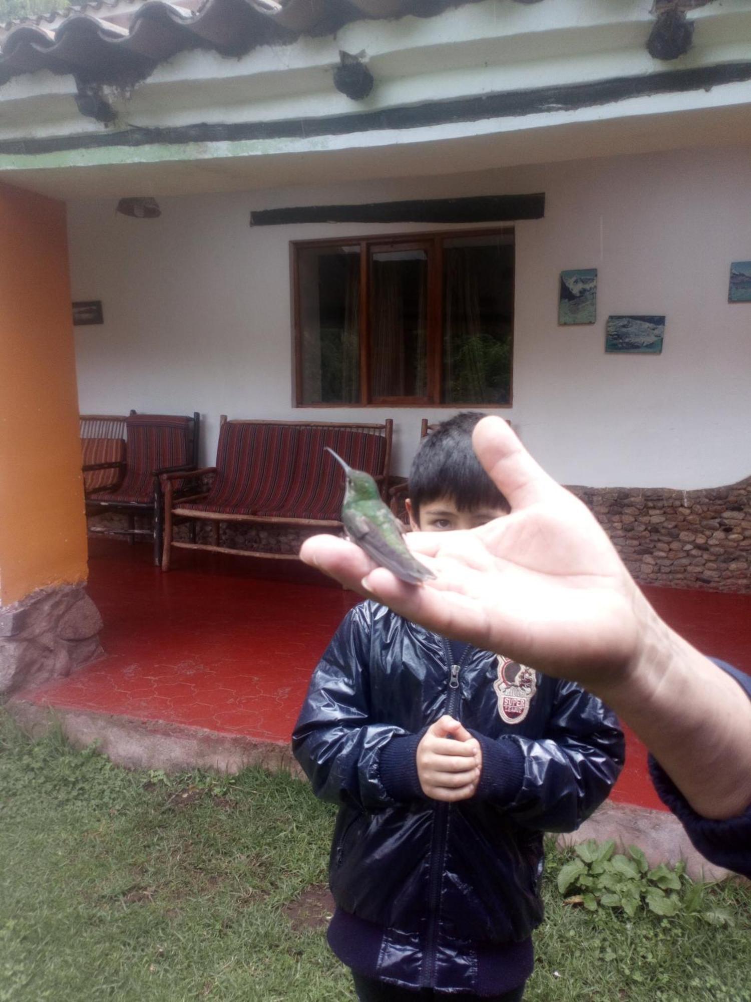 Ecolodge Ccatan Urubamba Exteriér fotografie